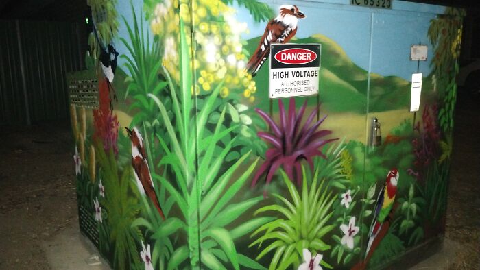 Beautiful Street Art In A New Estate Disguising An Electrical Box