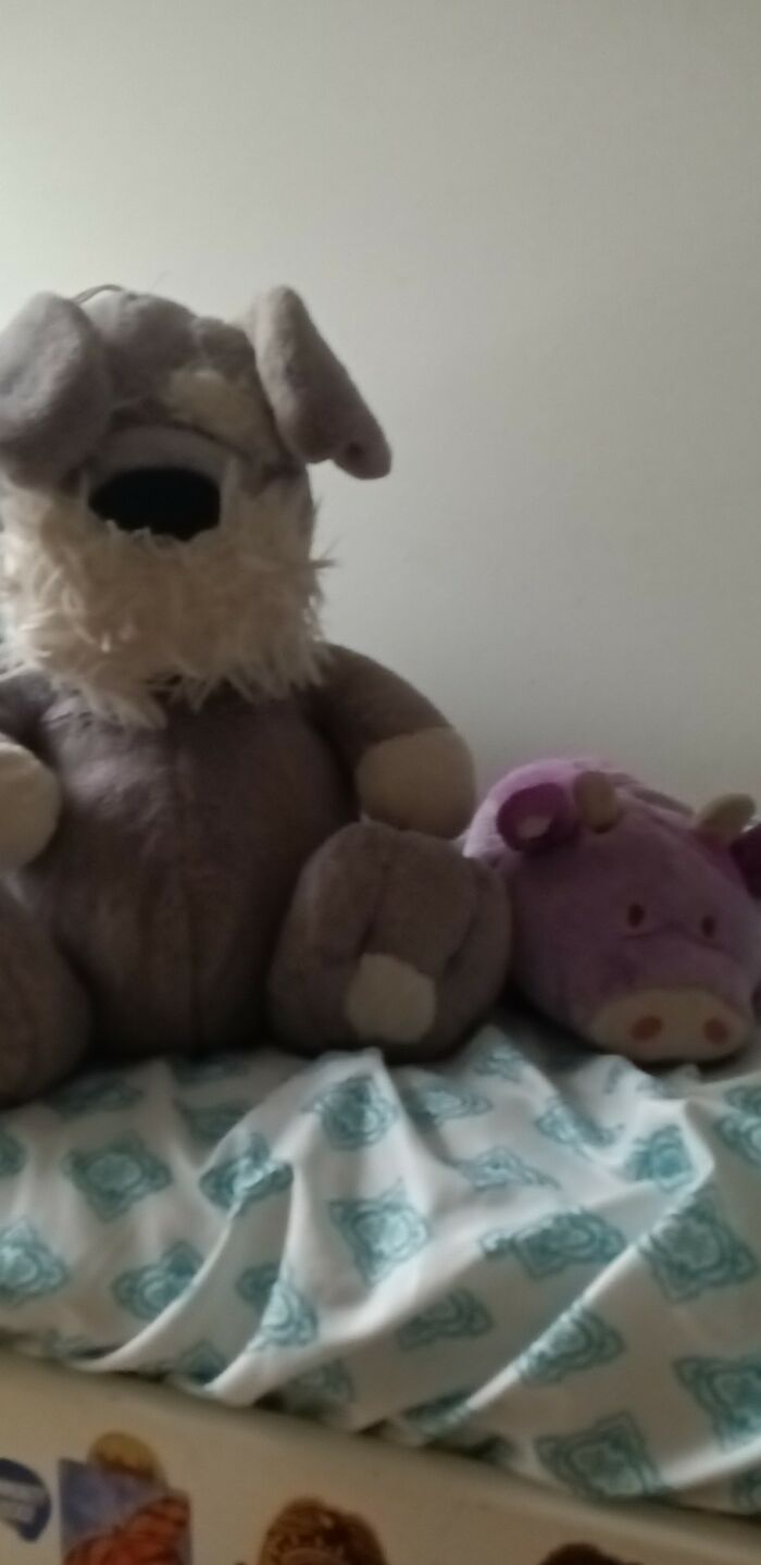 Grey (The Dog) And Lucy (The Cow)