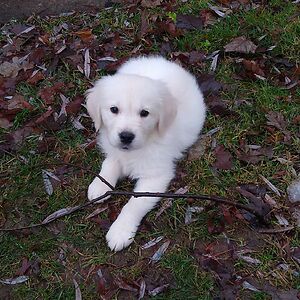 jess-smith1327 avatar