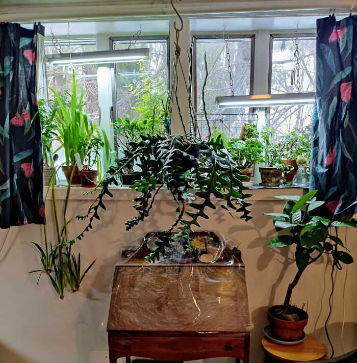 And This Is Only One Window