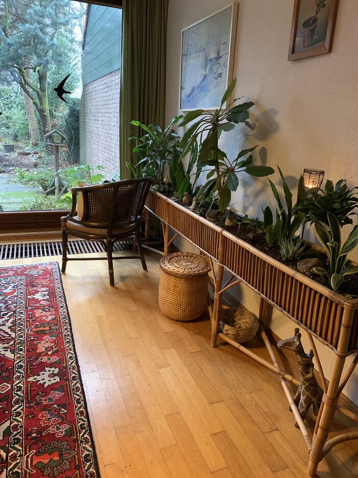 My Coffee Time Corner For Squirrel And Bird Watching