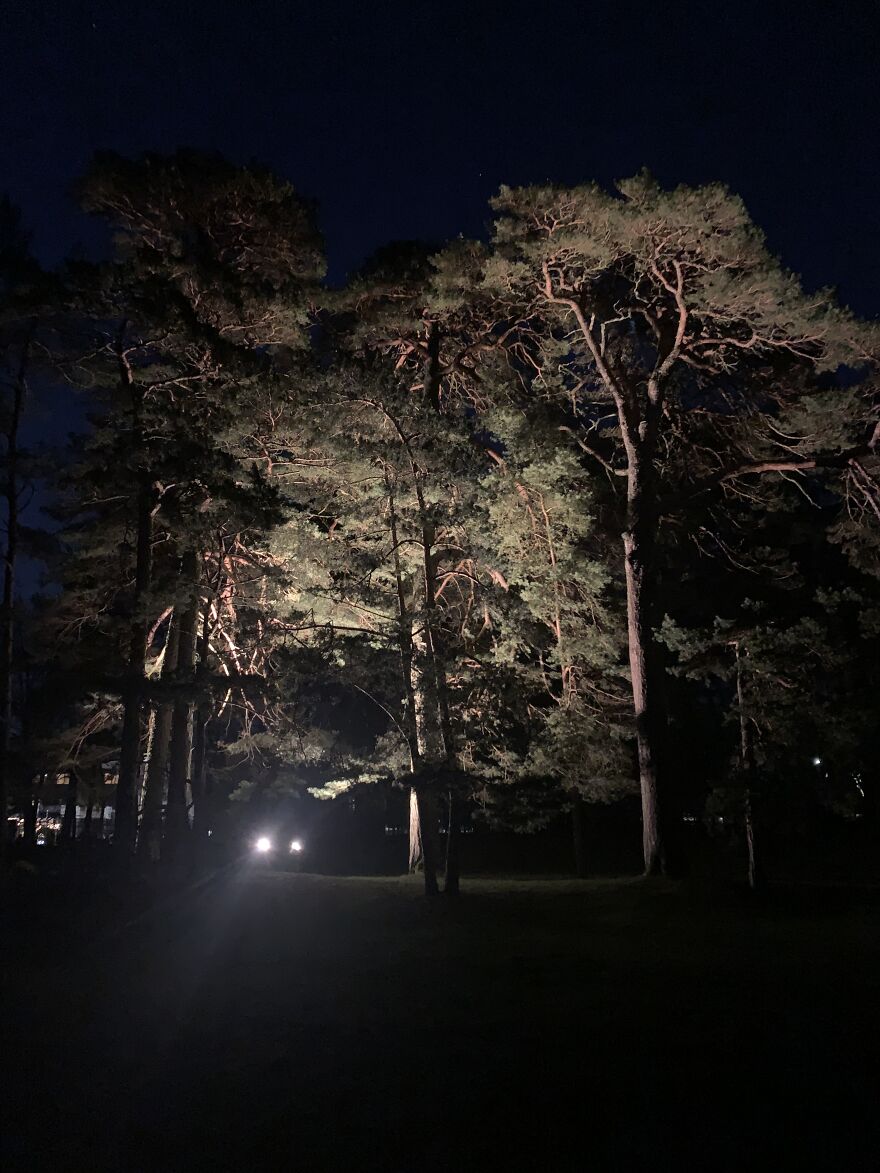 Journey In The Wintertime, By Our Baltic Sea At Night. How Quiet It Looks