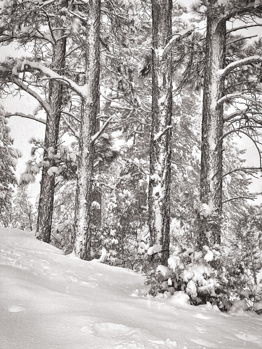 I Photographed A Stormy Retreat Capturing My Snowy Tiny Home Adventure (19 Pics)