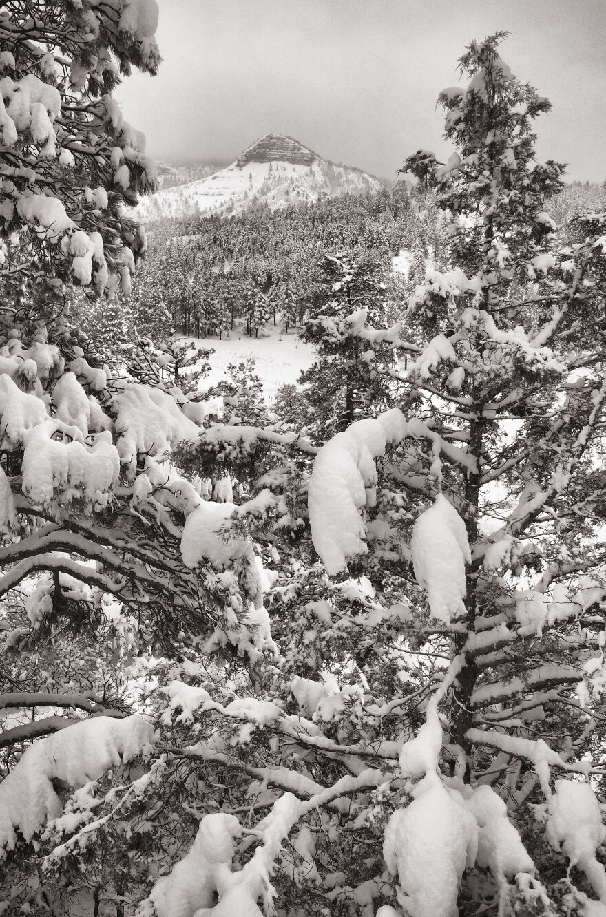 I Photographed A Stormy Retreat Capturing My Snowy Tiny Home Adventure (19 Pics)