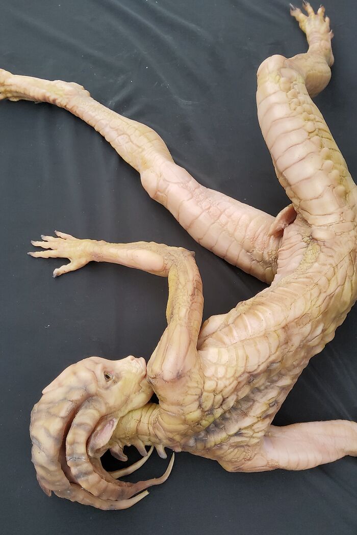 I Created A Silicone Reptilian-Girl Doll