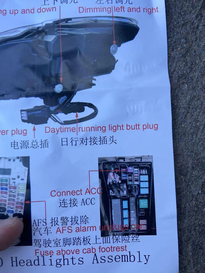 Not Your Typical Butt Plug