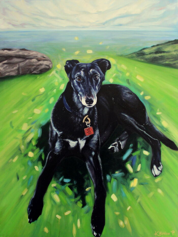 I Capture The Beautiful Souls Of The Animals I Paint (6 Pics)