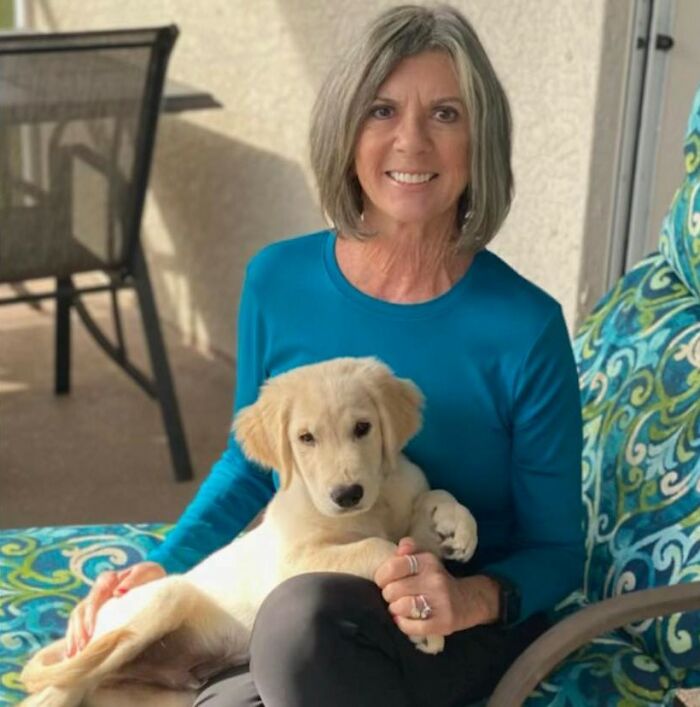 10 Inspiring Stories Of Pets Who Became Heroes Of 2022