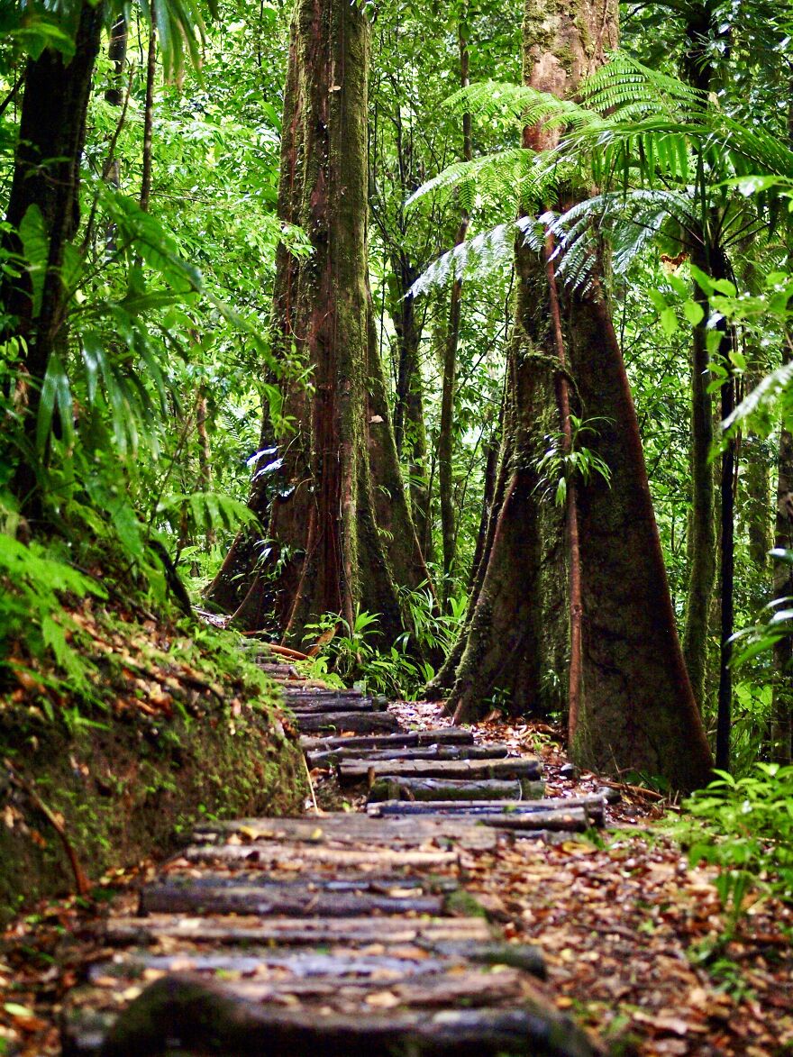 The Trail To Middleham Falls