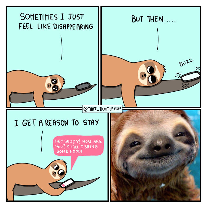 My 40 Wholesome Comics Showing The Backstory Of Popular Animal Pictures