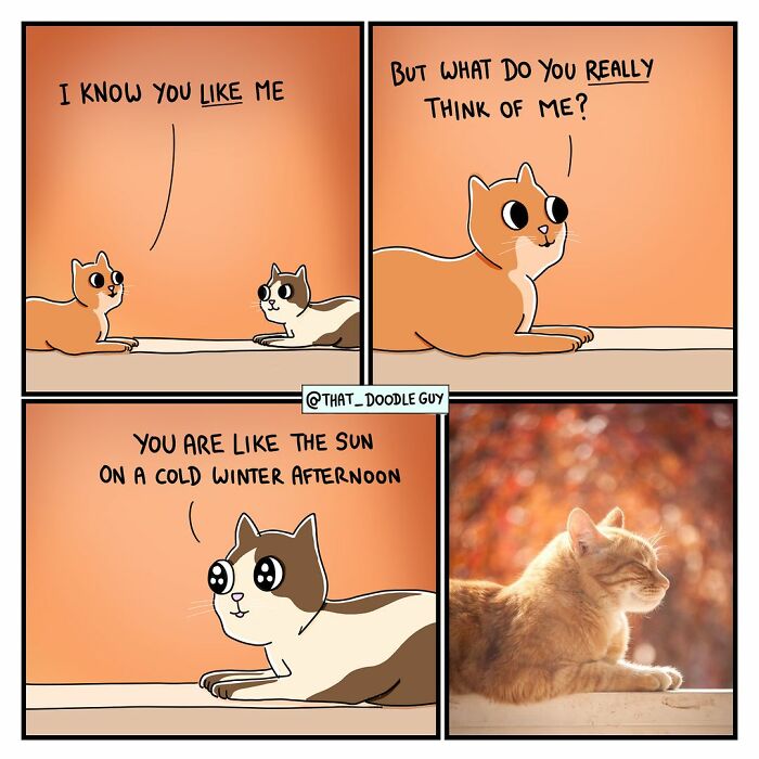 My 40 Wholesome Comics Showing The Backstory Of Popular Animal Pictures