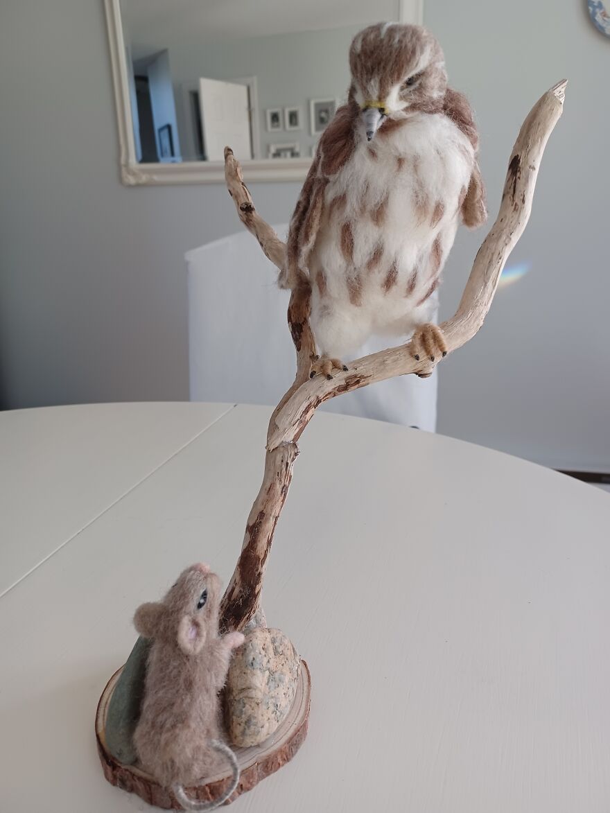 Red Tailed Hawk With Field Mouse