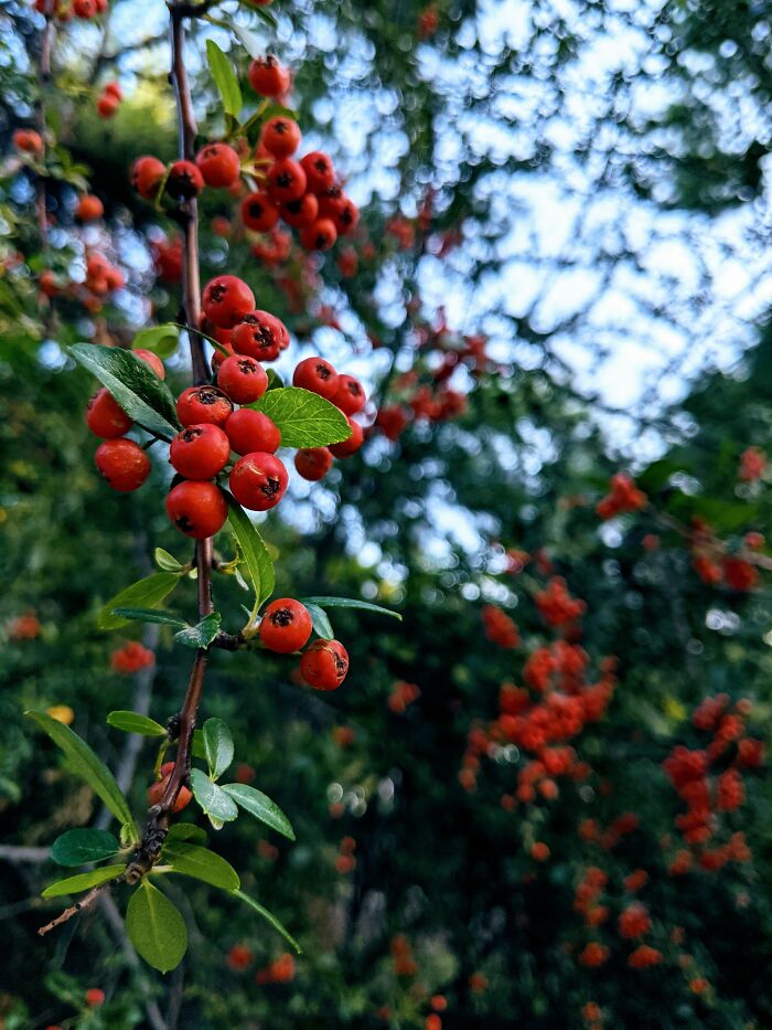 I Don't Know What To Say