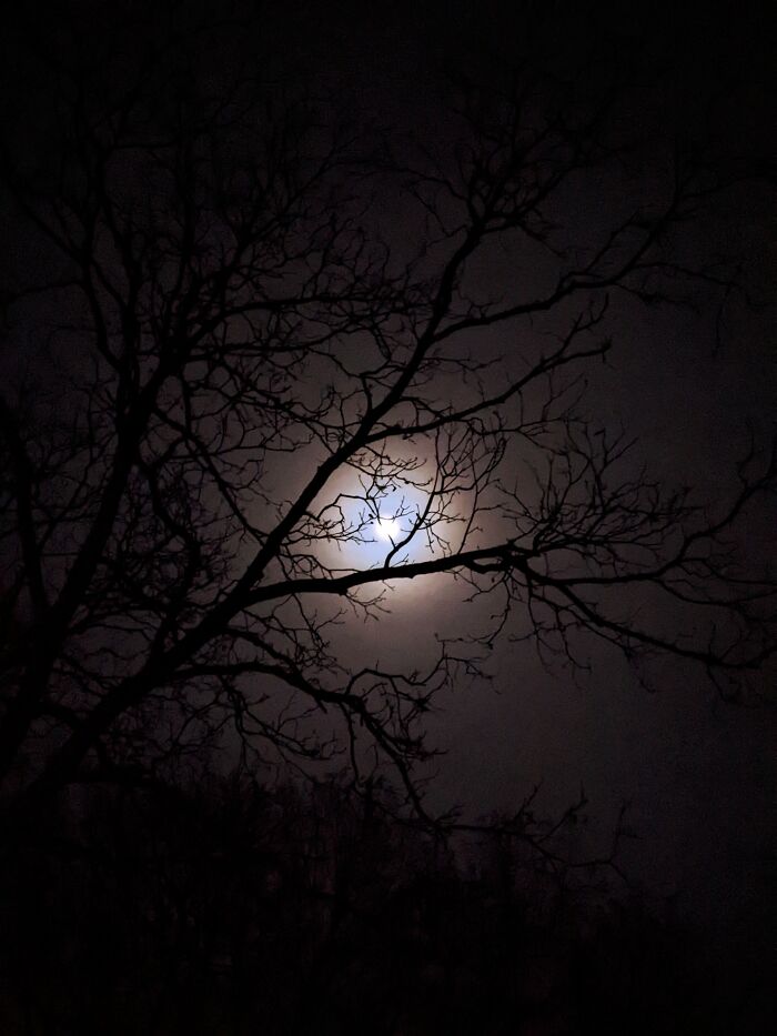 Took This Just A Couple Days Before 2023