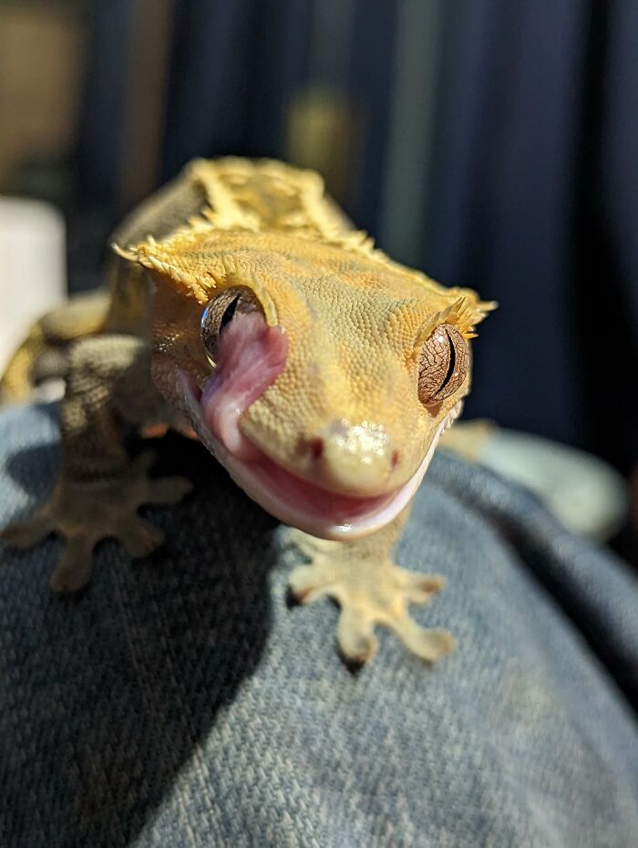 Cleaning Her Eyeball - At Least We Can Blink