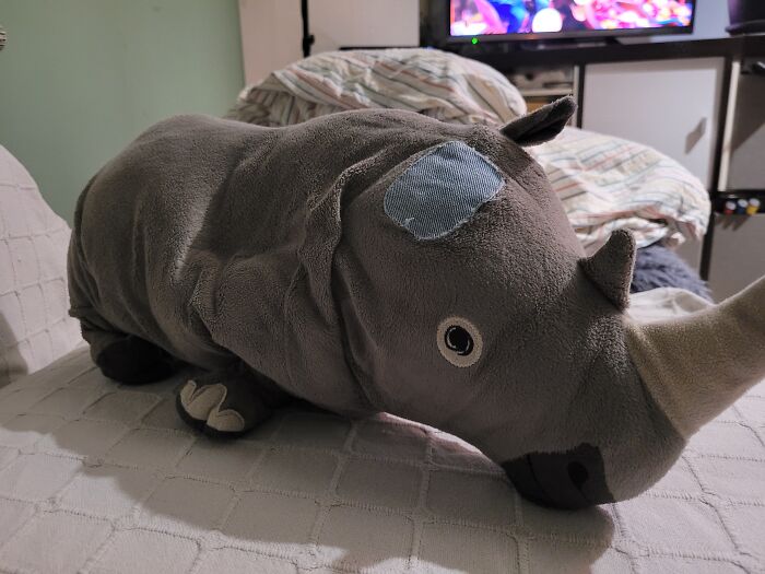 One-Eared Horst, My Favourite Neck Pillow (One Of The Dogs Shredded The Missing Ear, So We Had To Do An Amputation)