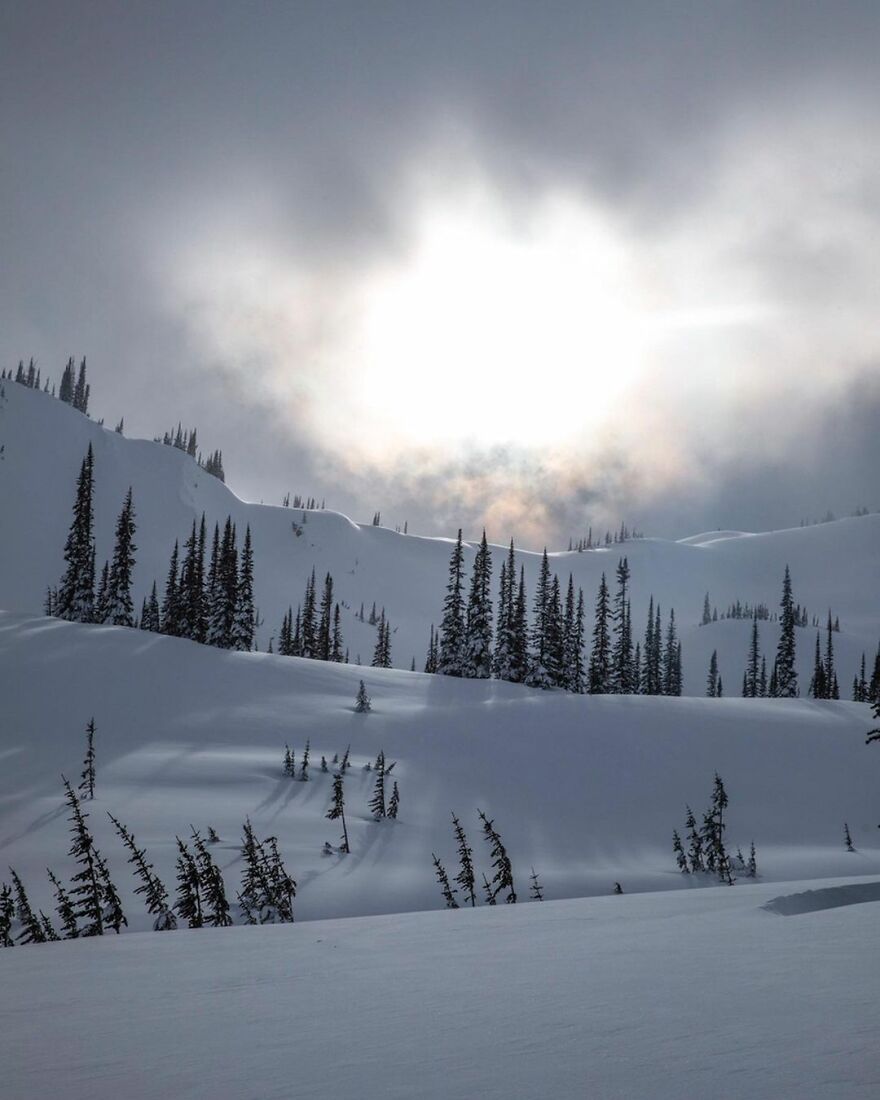 A photograph of wintery wonderland by Stanley Aryanto