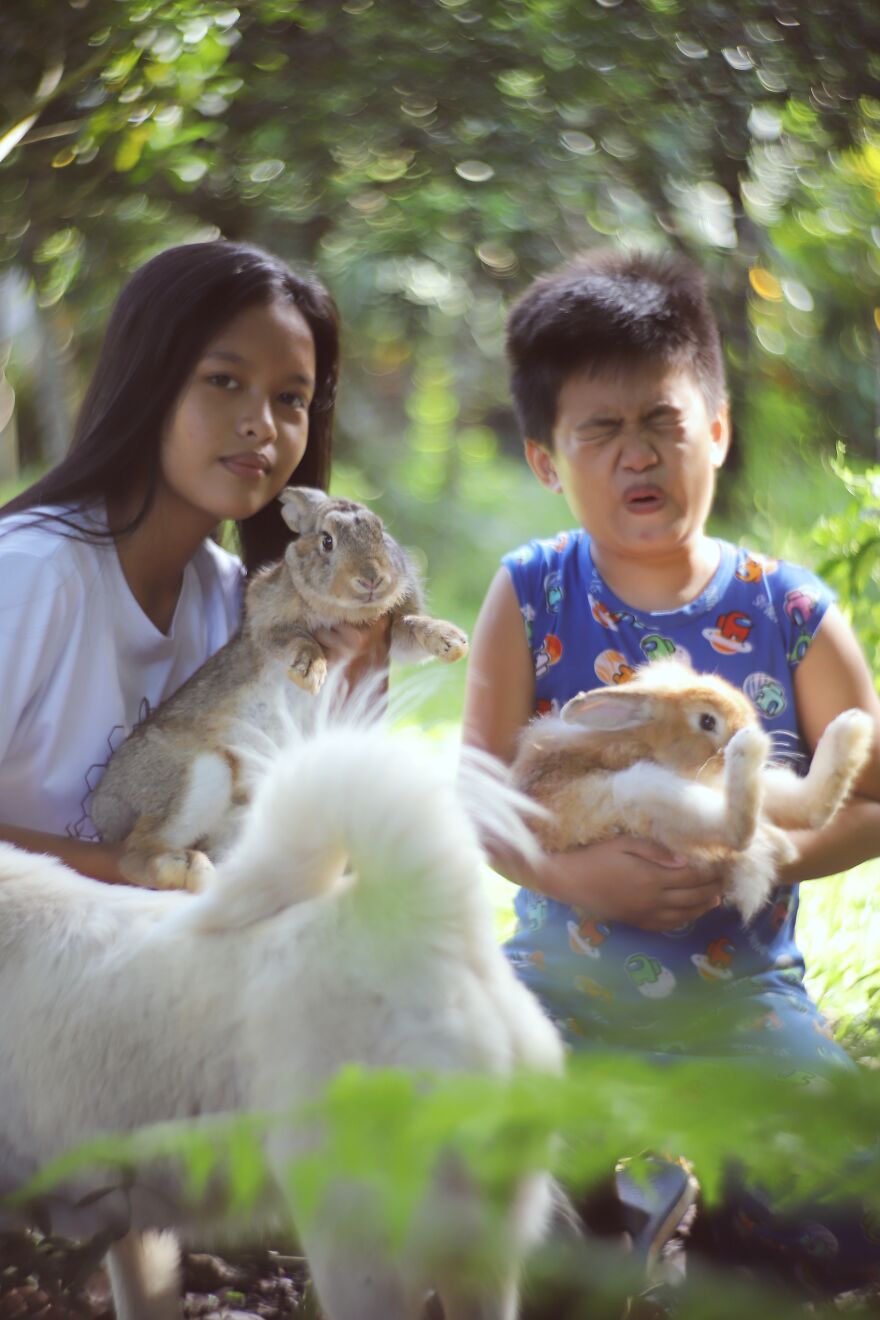 I Did A Photoshoot With Bunnies In Honor Of The Year 2023