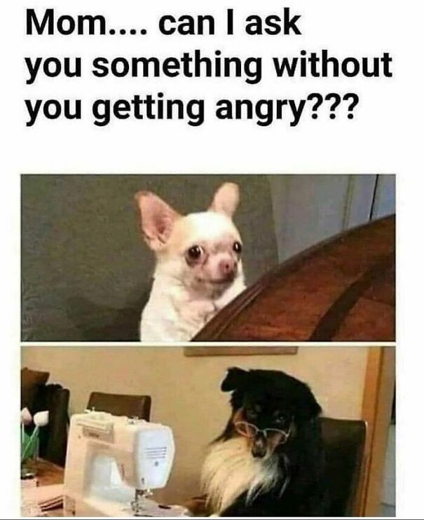 11 Random Memes I Found In My Camera Roll