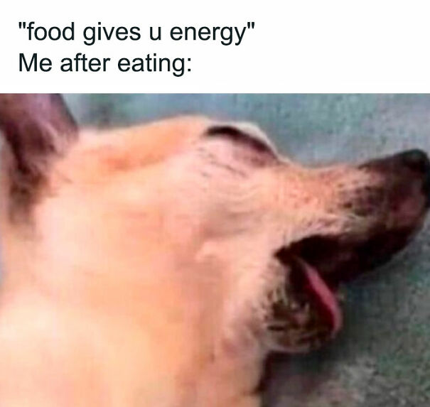 11 Random Memes I Found In My Camera Roll