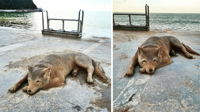 Sand Artist Makes Sculptures That Will Blow Your Mind (30 New Pics)