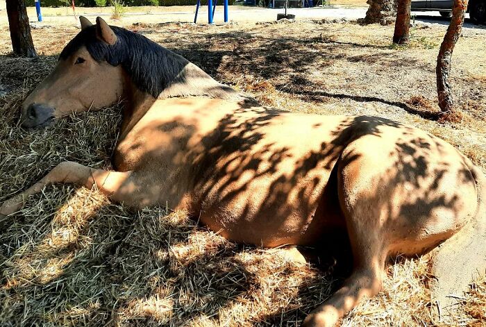Sand Artist Makes Sculptures That Will Blow Your Mind (30 New Pics)