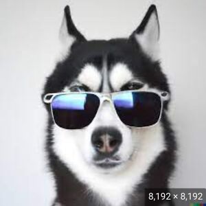 refaelpelealupv avatar