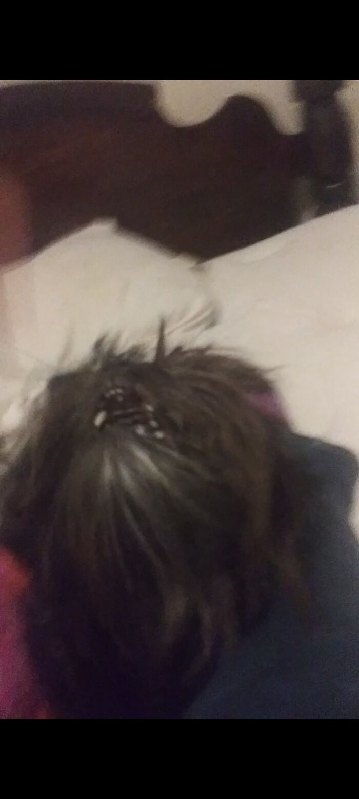 My Dog Ebony. In Every Picture I Have Of Her It Looks Like She's Screaming