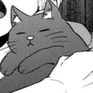 kentenichferreira avatar