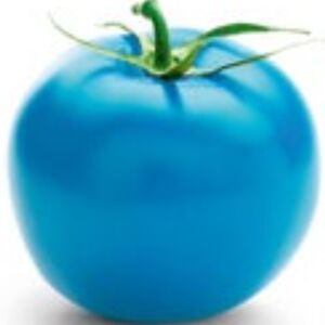 clairefearnley avatar