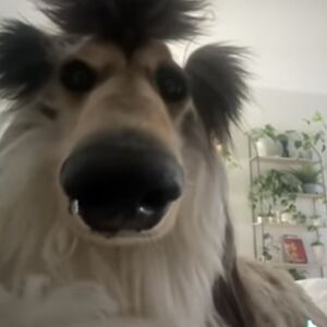 readkatie2008 avatar