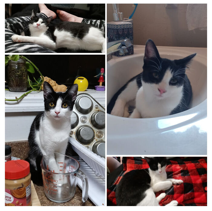 Valkyrie Lynn; Aka Mama's Little Trouble-Maker