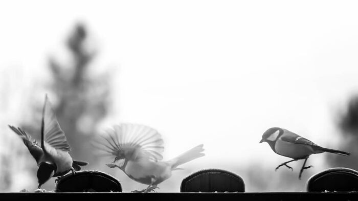 Street Photos, Budapest