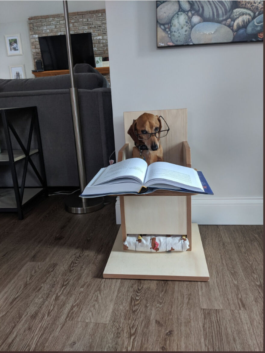 Teacher Asks Her Students To Send Pictures Of Their Pets Doing Classwork, The Results Are Insanely Adorable Teacher Asks Her Students To Send Pictures Of Their Pets Doing Classwork, The Results Are Insanely Adorable