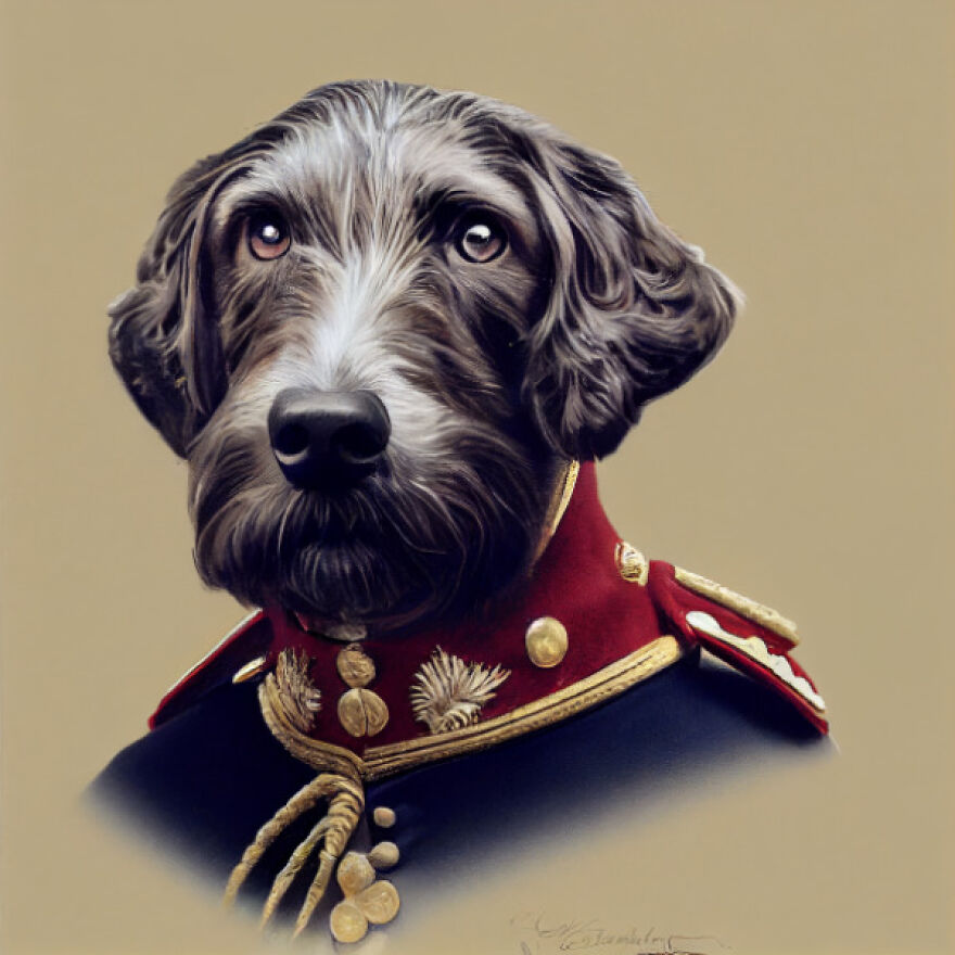 King Charles III - The Current Reigning Monarch Bears A Strong Resemblance To A Kerry Blue Terrier. This Breed Hails From Ireland, Specifically The County Kerry Mountains Of Ireland, And They Are Known For Being Gentle, Spirited And Active. As Pups, They Are Born With Black Coats, And Their Fur Fades To A Distinctive Blue-Black