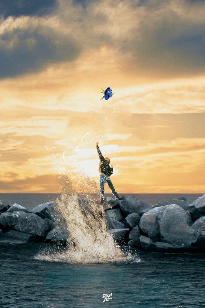 Free Willy vs. Finding Dory