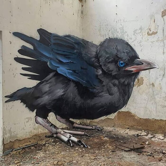 This Street Artist Continues To Create 3D Graffiti That Blurs The Line Between Art And Reality (35 New Pics)