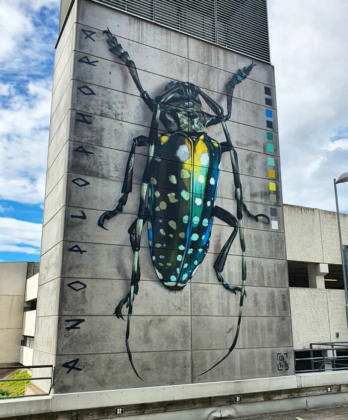 This Street Artist Continues To Create 3D Graffiti That Blurs The Line Between Art And Reality (35 New Pics)