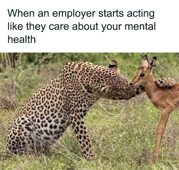 Leopard and fawn depicted humorously as a typical HR person's empathy.