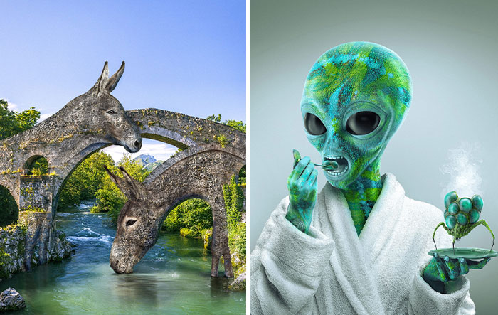 I Create Surreal Edits Using Animals, Plants, People, And Objects (30 Pics)