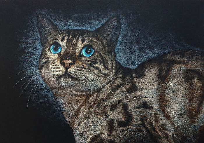 "The Caturdays Project": 25 Cat Drawings I Made In 2022