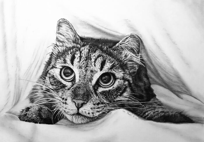 "The Caturdays Project": 25 Cat Drawings I Made In 2022