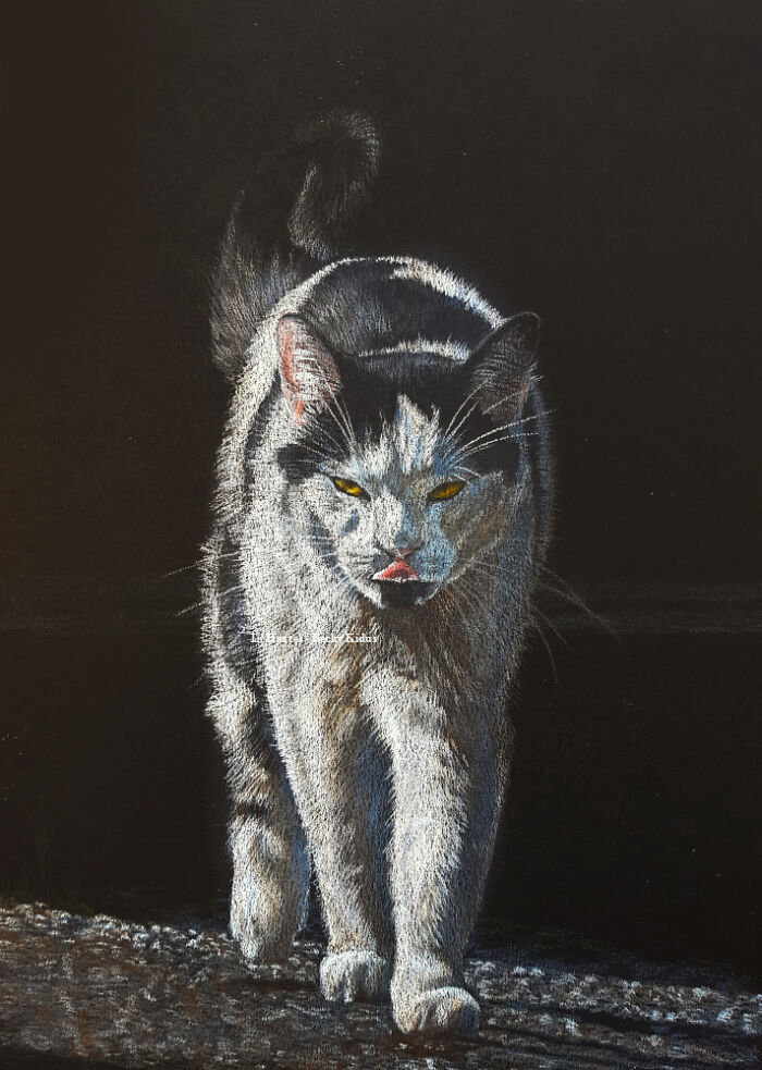 "The Caturdays Project": 25 Cat Drawings I Made In 2022