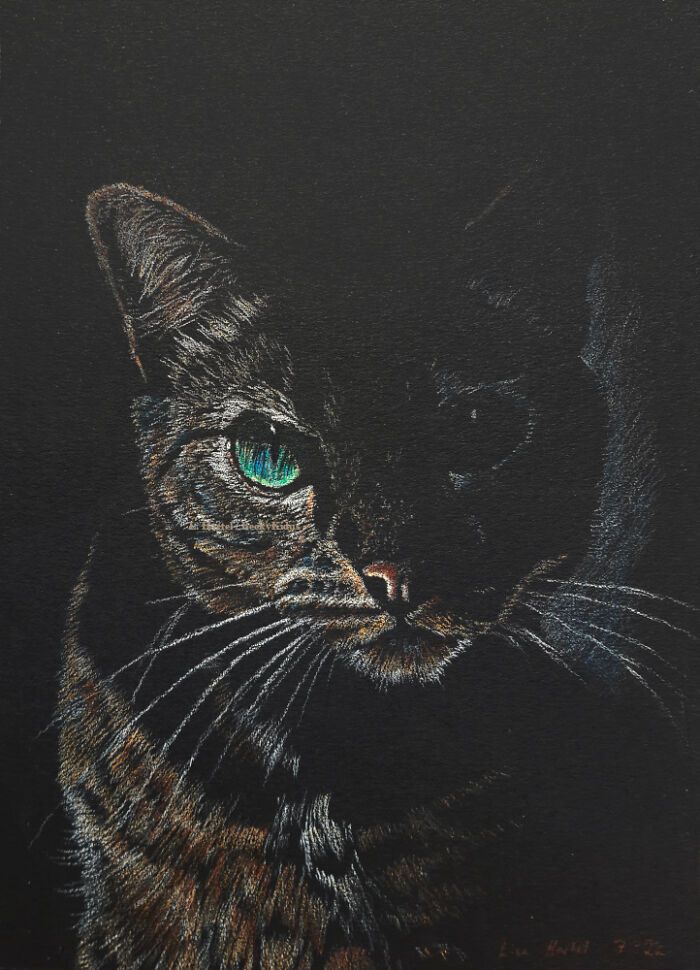 "The Caturdays Project": 25 Cat Drawings I Made In 2022