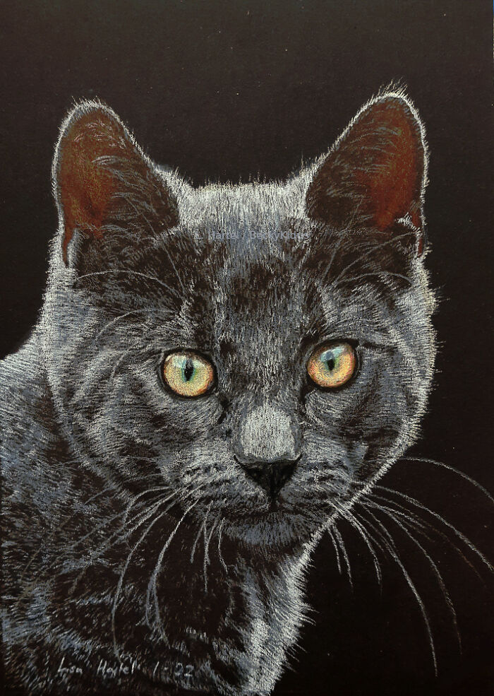 "The Caturdays Project": 25 Cat Drawings I Made In 2022