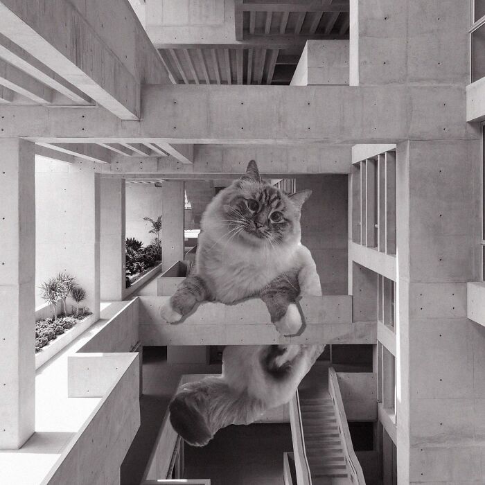 Universidad De Ingenieria Y Tecnologia, Yvonne Farrell And Shelley Mcnamara, 2012, Lima, Peru