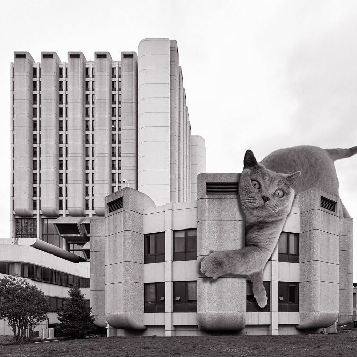 St. Mary's Hospital, E. Todd Wheeler, 1975, Chicago, Illinois