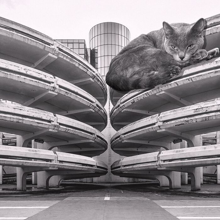 Noisy-Le-Grand Car Park, 1970, Noisy Le Grand, France