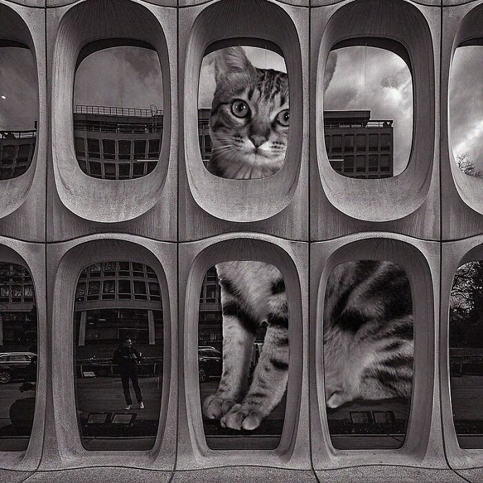 Cbr Building, Constantin Brodzki And Marcel Lambrichs, 1970, Watermael-Boitsfort, Brussels, Belgium