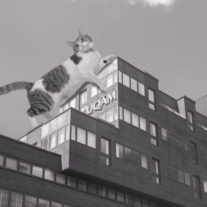 Judith-Jasmin De L’université Du Québec À Montréal (Uqam), Dimitri Dimakopoulos, 1974-1979, Montreal, Canada